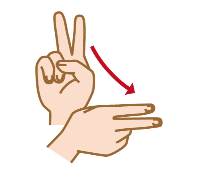 Sign language gesture to represent “Ri”