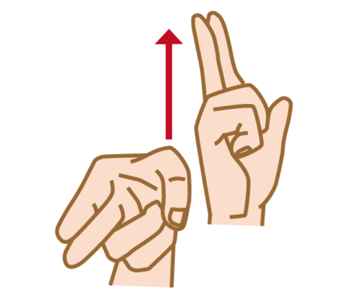 「半濁音」の手話の形