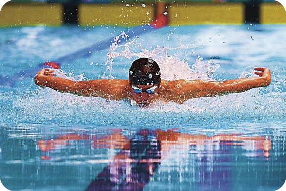 photo of swimmers swimming