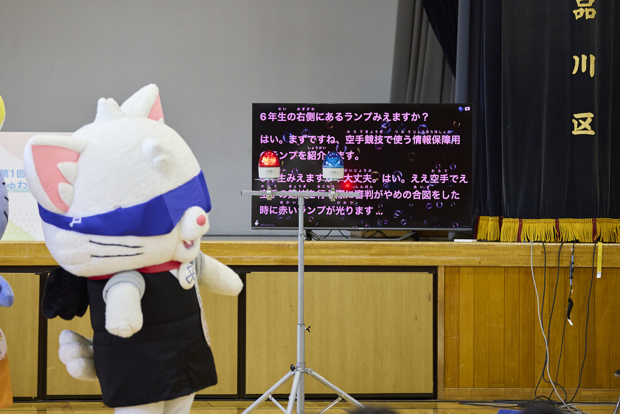 赤と青のランプを見つめるやたたまの写真