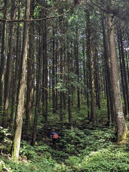 山に登る辻選手の写真